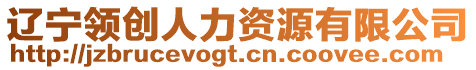 遼寧領(lǐng)創(chuàng)人力資源有限公司