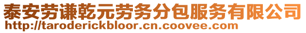 泰安勞謙乾元?jiǎng)趧?wù)分包服務(wù)有限公司