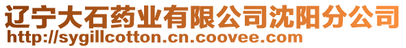 遼寧大石藥業(yè)有限公司沈陽(yáng)分公司