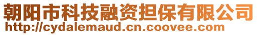 朝陽(yáng)市科技融資擔(dān)保有限公司