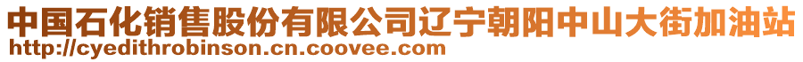 中國石化銷售股份有限公司遼寧朝陽中山大街加油站