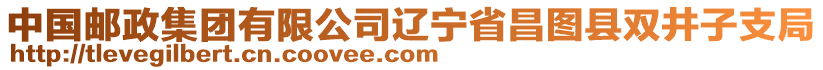 中國(guó)郵政集團(tuán)有限公司遼寧省昌圖縣雙井子支局