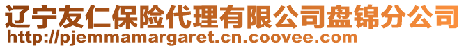 遼寧友仁保險代理有限公司盤錦分公司