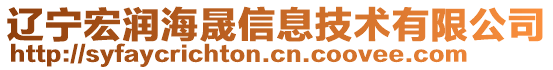 遼寧宏潤海晟信息技術(shù)有限公司