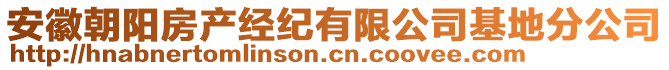 安徽朝陽房產(chǎn)經(jīng)紀有限公司基地分公司