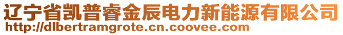 遼寧省凱普睿金辰電力新能源有限公司