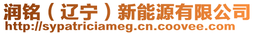 潤銘(遼寧)新能源有限公司