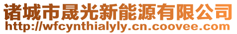 諸城市晟光新能源有限公司