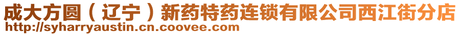 成大方圓(遼寧)新藥特藥連鎖有限公司西江街分店