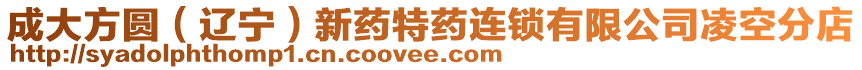 成大方圓(遼寧)新藥特藥連鎖有限公司凌空分店