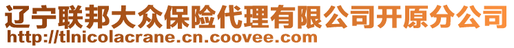 遼寧聯(lián)邦大眾保險代理有限公司開原分公司