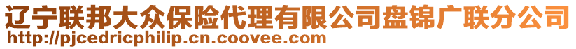 遼寧聯(lián)邦大眾保險代理有限公司盤錦廣聯(lián)分公司