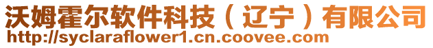 沃姆霍爾軟件科技（遼寧）有限公司