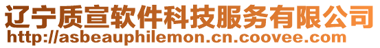 遼寧質宣軟件科技服務有限公司