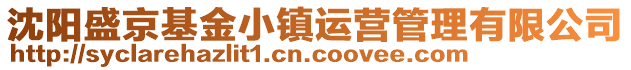 沈陽盛京基金小鎮(zhèn)運(yùn)營管理有限公司