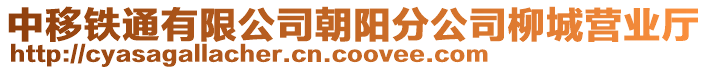 中移鐵通有限公司朝陽分公司柳城營業(yè)廳