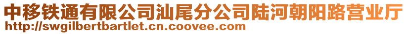 中移鐵通有限公司汕尾分公司陸河朝陽(yáng)路營(yíng)業(yè)廳