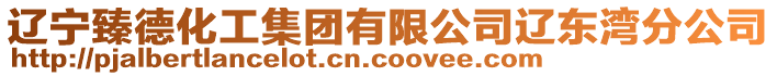 遼寧臻德化工集團有限公司遼東灣分公司