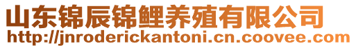 山東錦辰錦鯉養殖有限公司