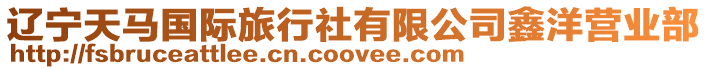 遼寧天馬國際旅行社有限公司鑫洋營業部
