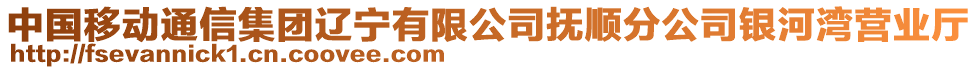 中國移動通信集團遼寧有限公司撫順分公司銀河灣營業廳
