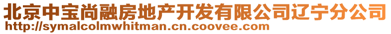 北京中寶尚融房地產(chǎn)開發(fā)有限公司遼寧分公司