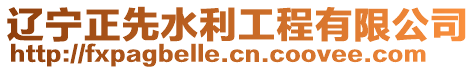 遼寧正先水利工程有限公司