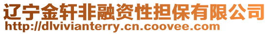 遼寧金軒非融資性擔保有限公司