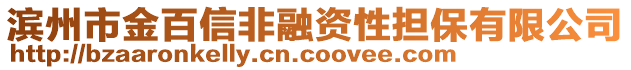 濱州市金百信非融資性擔(dān)保有限公司