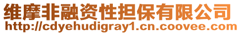 維摩非融資性擔保有限公司