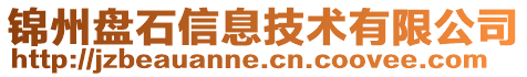 錦州盤石信息技術(shù)有限公司