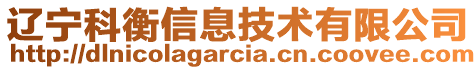 遼寧科衡信息技術有限公司