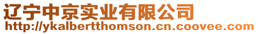 遼寧中京實業有限公司