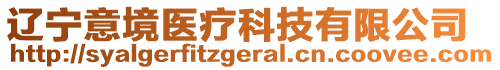 遼寧意境醫(yī)療科技有限公司