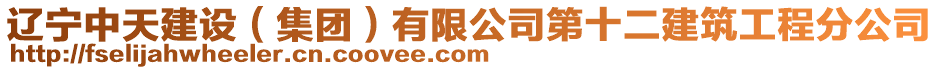 遼寧中天建設(集團)有限公司第十二建筑工程分公司