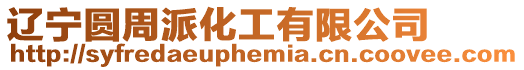 遼寧圓周派化工有限公司