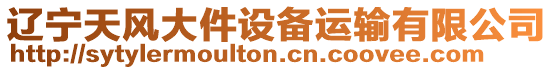 遼寧天風(fēng)大件設(shè)備運(yùn)輸有限公司