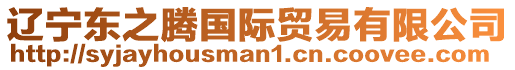 遼寧東之騰國際貿(mào)易有限公司