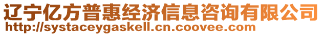 遼寧億方普惠經濟信息咨詢有限公司