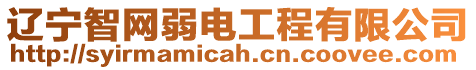 遼寧智網(wǎng)弱電工程有限公司
