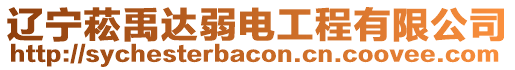 遼寧菘禹達弱電工程有限公司