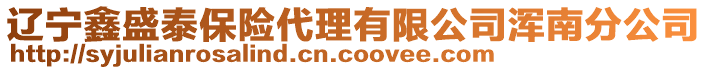 遼寧鑫盛泰保險代理有限公司渾南分公司