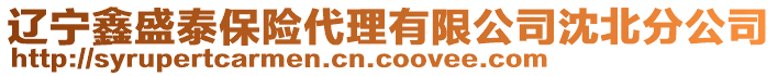 遼寧鑫盛泰保險代理有限公司沈北分公司