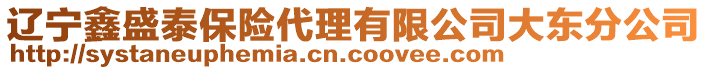 遼寧鑫盛泰保險代理有限公司大東分公司