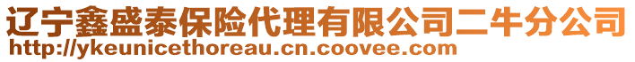 遼寧鑫盛泰保險代理有限公司二牛分公司