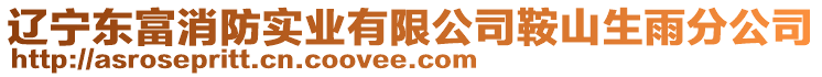 遼寧東富消防實業有限公司鞍山生雨分公司
