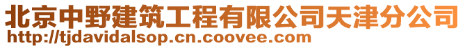 北京中野建筑工程有限公司天津分公司