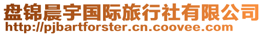 盤錦晨宇國際旅行社有限公司
