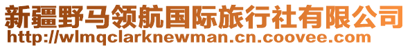 新疆野馬領(lǐng)航國際旅行社有限公司