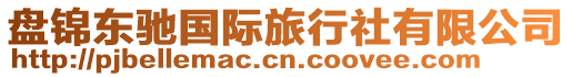 盤錦東馳國(guó)際旅行社有限公司